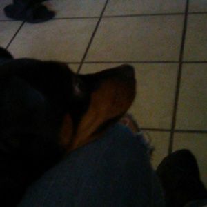 Meet your Posher, Alyssa